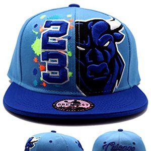 Greatest 23 Bull Splash Snapback Hat Sky/Royal
